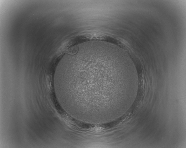 X0000067480695200604101229