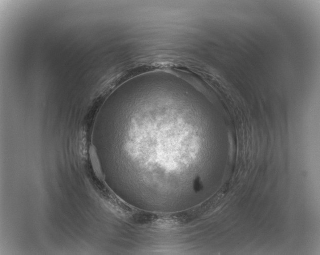 X0000067480696200604101229