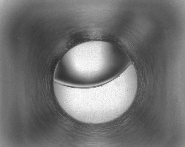 X0000067480697200604101229