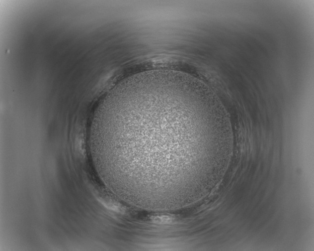 X0000067480698200604101229