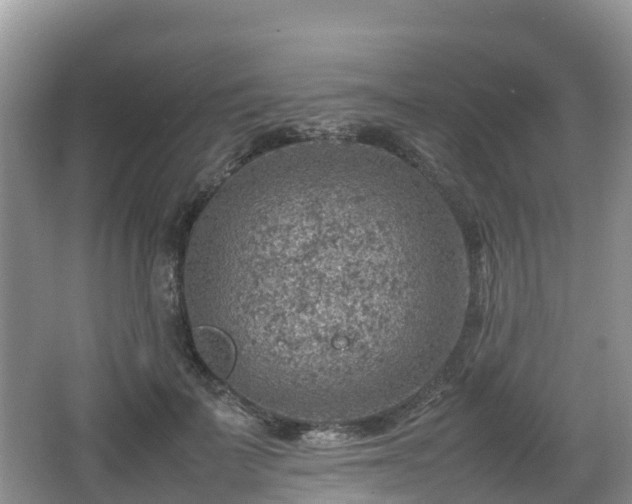 X0000067480699200604101229