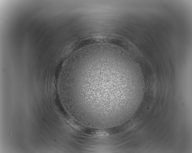 X0000067480702200604101229