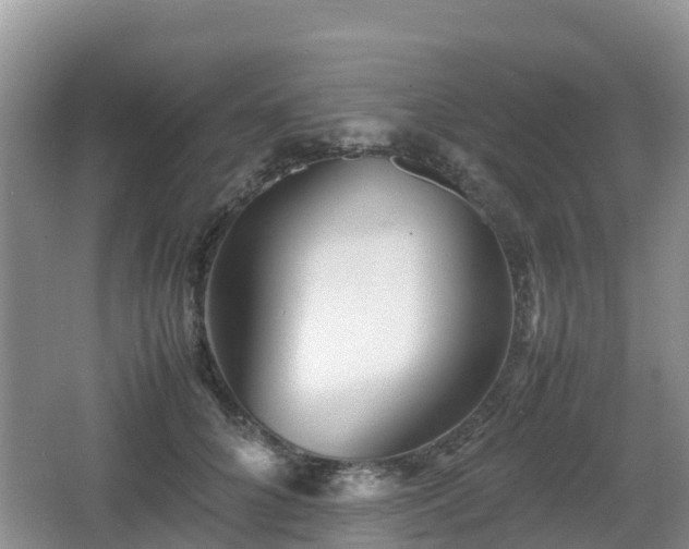 X0000067480704200604101229