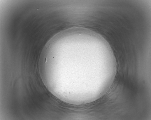 X0000067480705200604101229