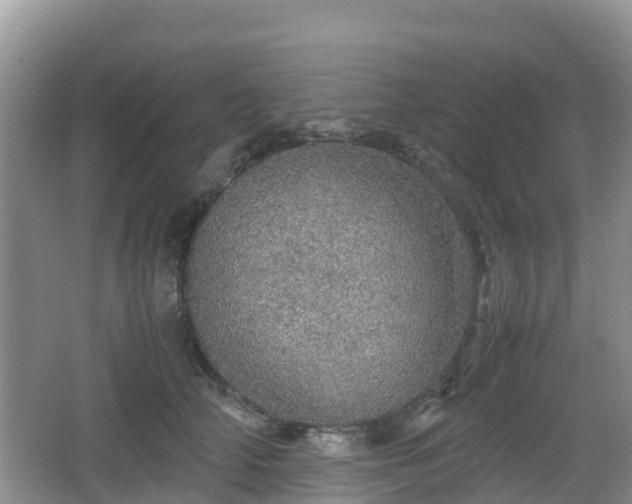 X0000067480706200604101229