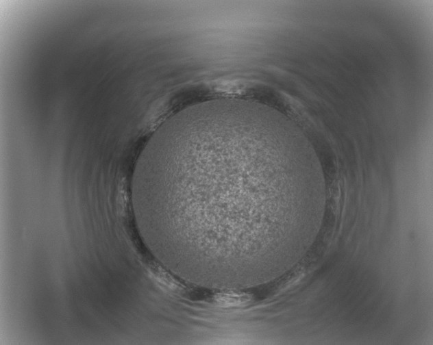 X0000067480707200604101229