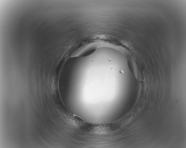 X0000067480708200604101229