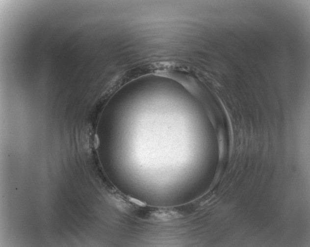 X0000067480712200604101229