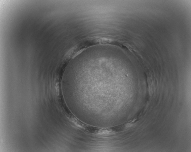 X0000067480716200604101229