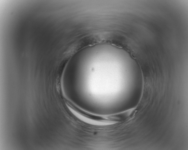 X0000067480719200604101229