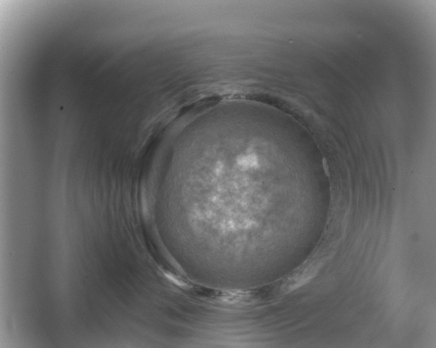 X0000067480720200604101229