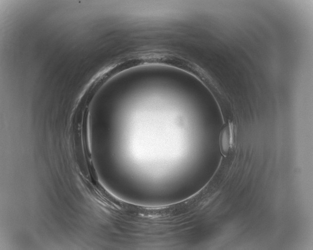 X0000067480723200604101228