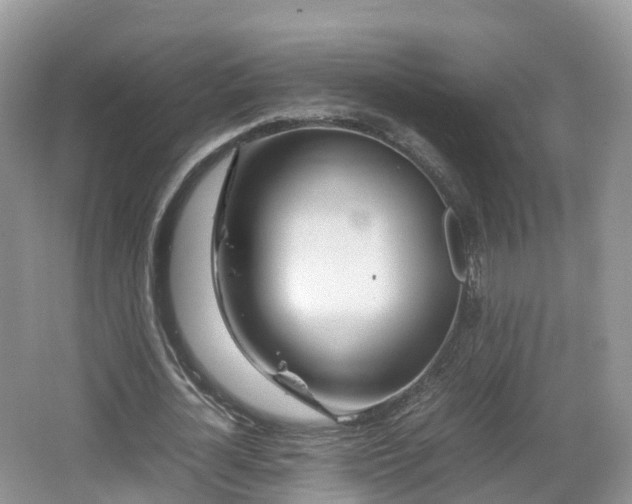 X0000067480724200604101228