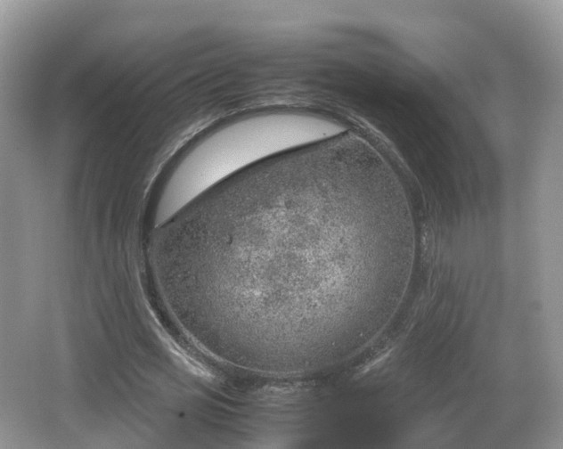 X0000067480725200604101228