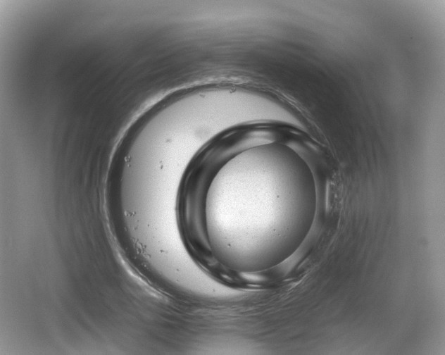 X0000067480726200604101228