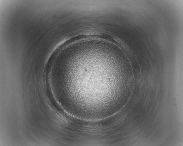 X0000067480727200604101228