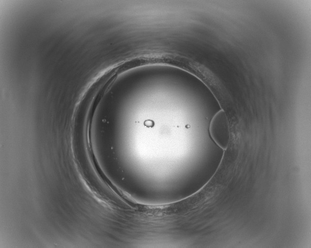 X0000067480728200604101228