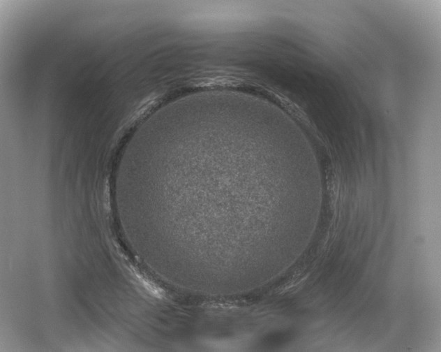 X0000067480729200604101228