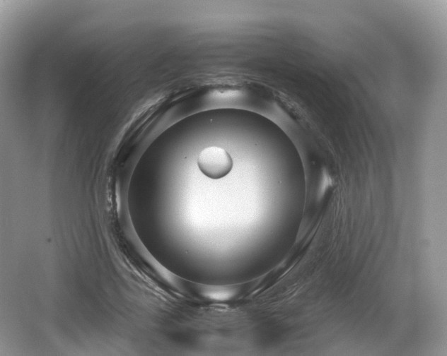 X0000067480731200604101228