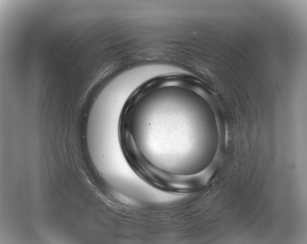 X0000067480735200604101228