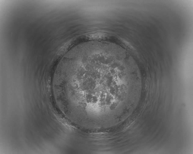 X0000067480737200604101228