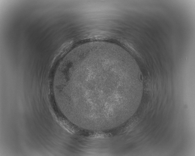 X0000067480738200604101228