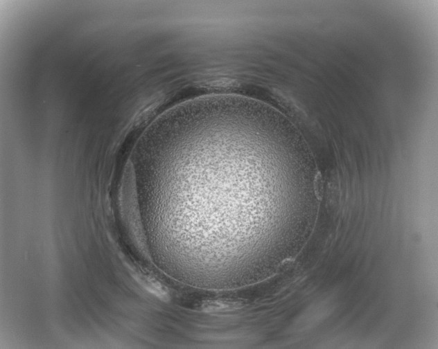 X0000067480739200604101229