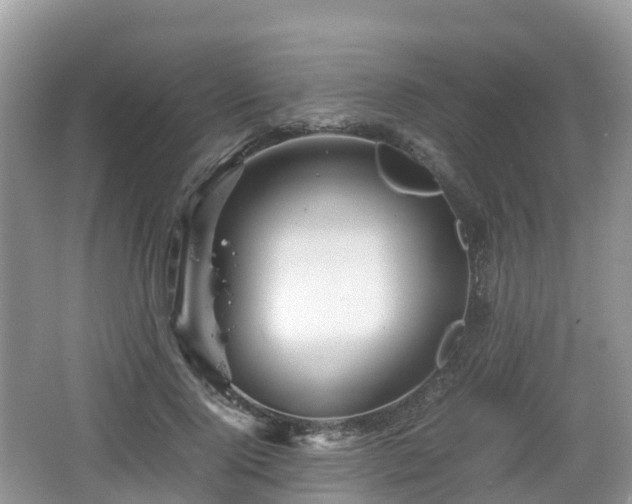 X0000067480740200604101229