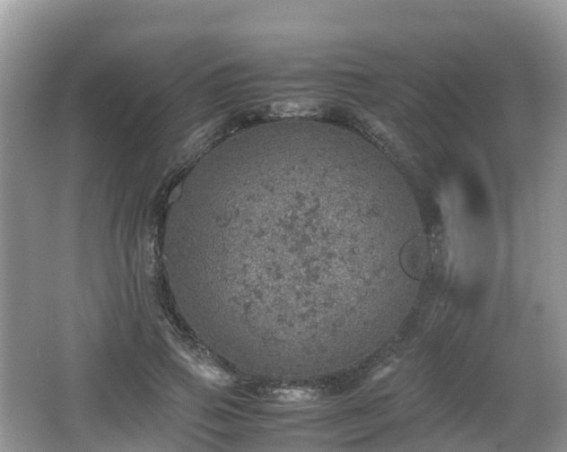 X0000067480741200604101229