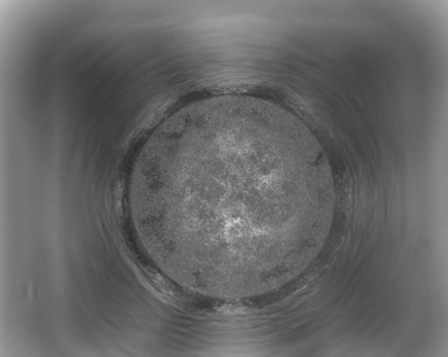 X0000067480742200604101229