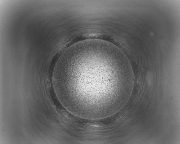 X0000067480743200604101229