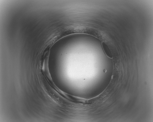 X0000067480744200604101229