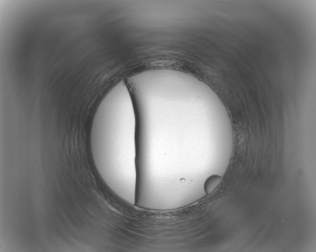 X0000067480745200604101229