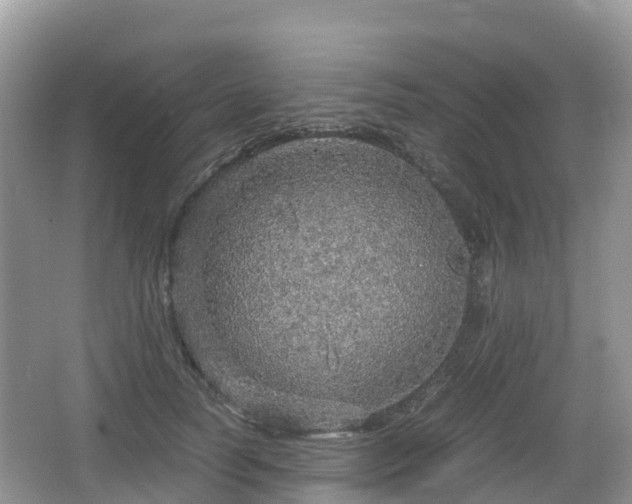 X0000067480746200604101229