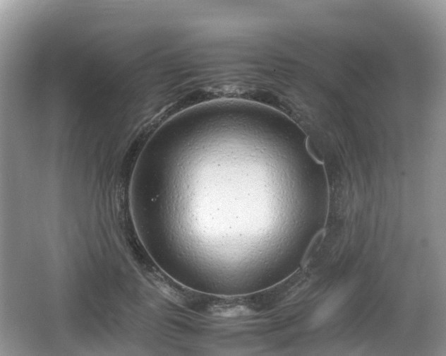 X0000067480747200604101229