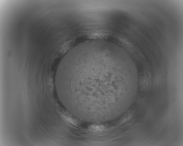 X0000067480749200604101229