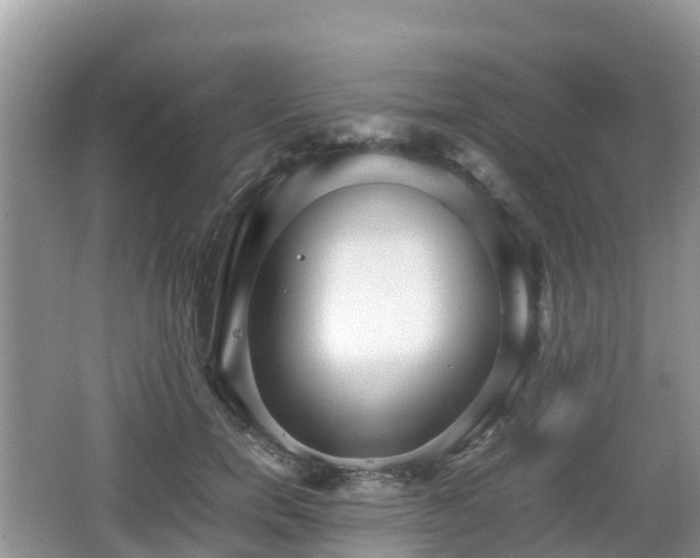 X0000067480750200604101229