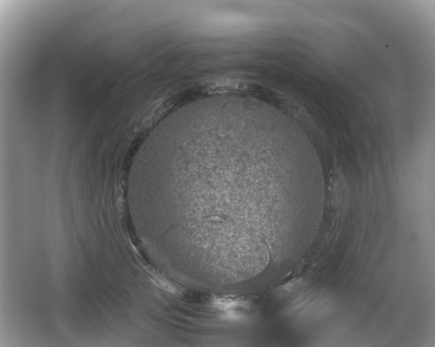 X0000067480753200604101229