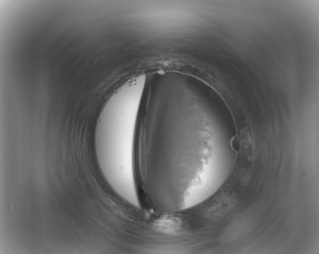 X0000067480754200604101229