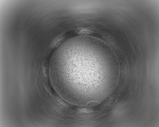 X0000067480755200604101229