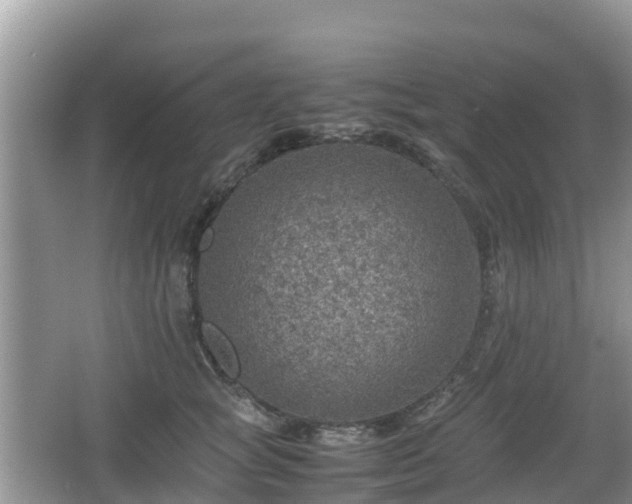 X0000067480757200604101229