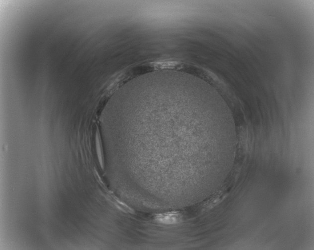 X0000067480761200604101229