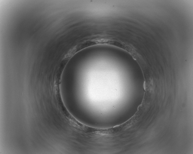 X0000067480763200604101229