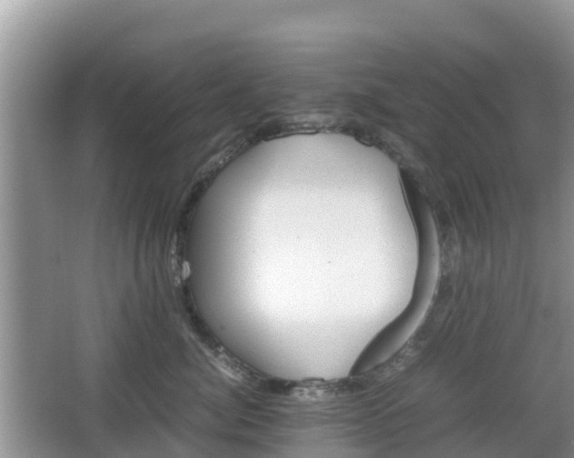 X0000067480764200604101229