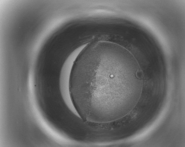 X0000067480765200604101229