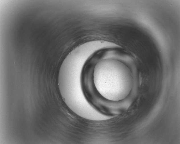 X0000067480766200604101229