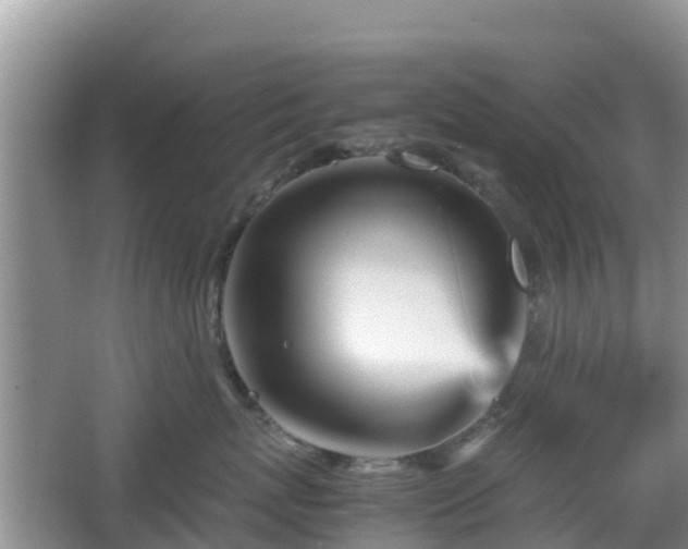 X0000067480767200604101229