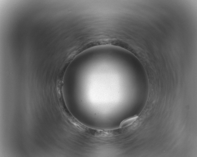 X0000067480768200604101229