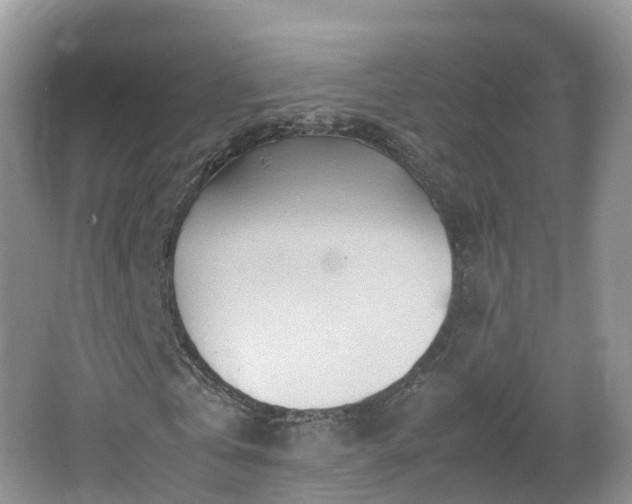 X0000067480769200604101228