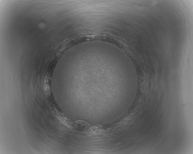 X0000067480770200604101228